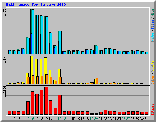 Daily usage for January 2019