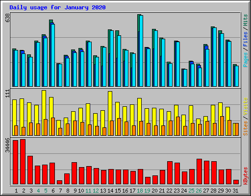 Daily usage for January 2020