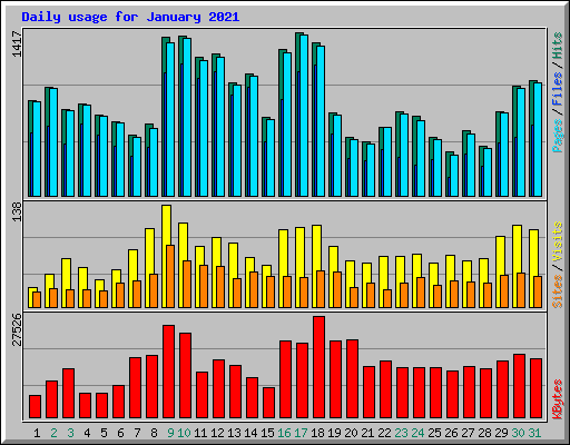 Daily usage for January 2021