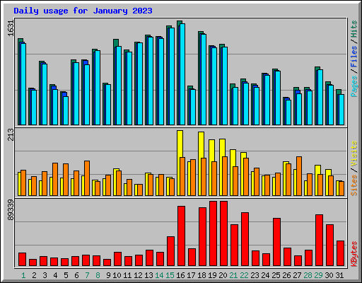 Daily usage for January 2023