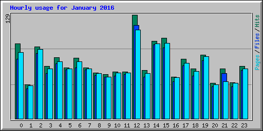 Hourly usage for January 2016