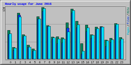 Hourly usage for June 2016