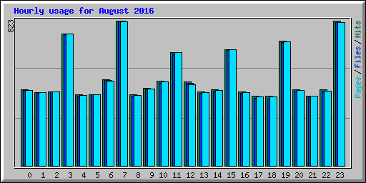 Hourly usage for August 2016