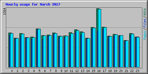 Hourly usage for March 2017