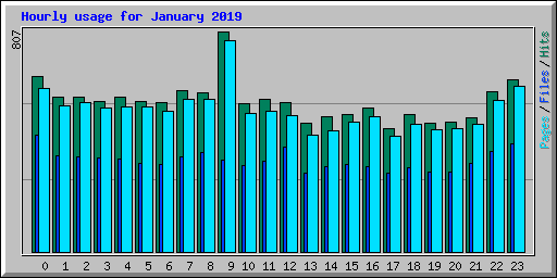 Hourly usage for January 2019