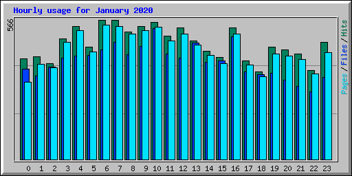 Hourly usage for January 2020