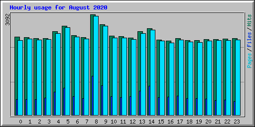 Hourly usage for August 2020