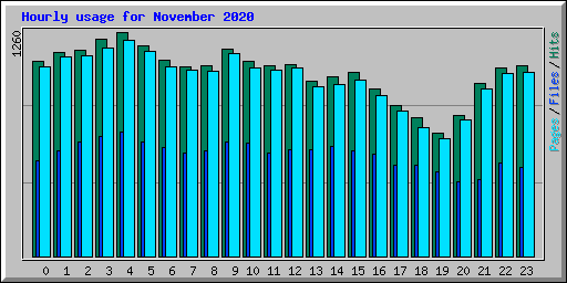 Hourly usage for November 2020