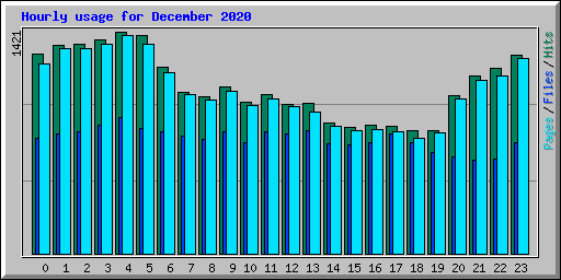 Hourly usage for December 2020