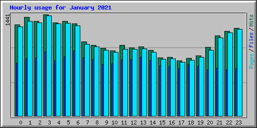 Hourly usage for January 2021