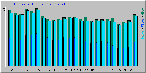 Hourly usage for February 2021