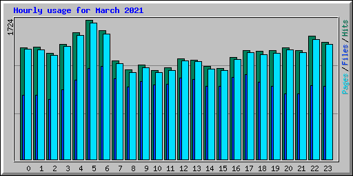 Hourly usage for March 2021