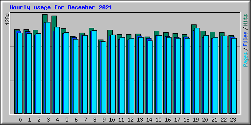 Hourly usage for December 2021