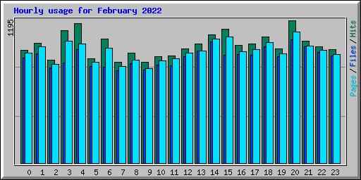 Hourly usage for February 2022