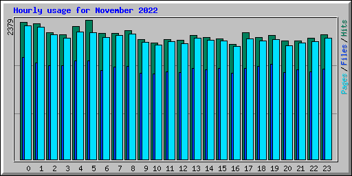 Hourly usage for November 2022