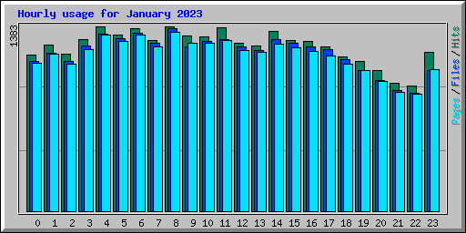 Hourly usage for January 2023