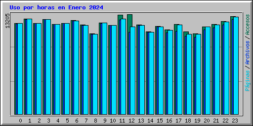 Uso por horas en Enero 2024