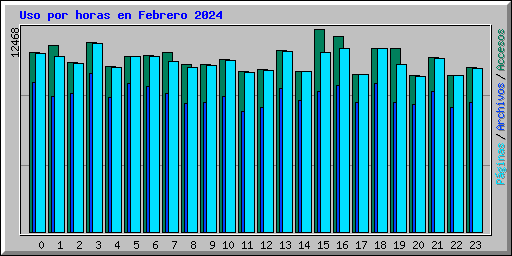 Uso por horas en Febrero 2024