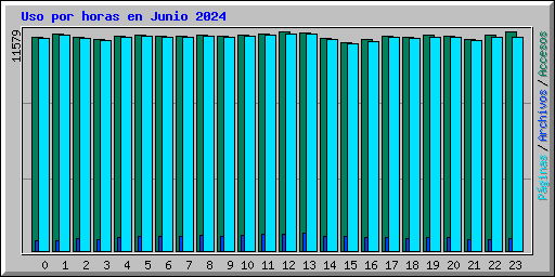 Uso por horas en Junio 2024