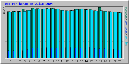 Uso por horas en Julio 2024