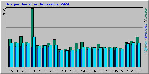 Uso por horas en Noviembre 2024