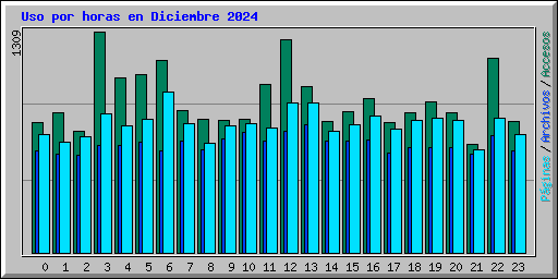 Uso por horas en Diciembre 2024