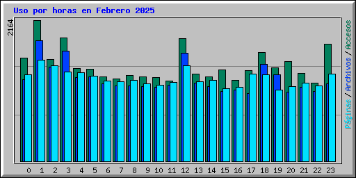 Uso por horas en Febrero 2025